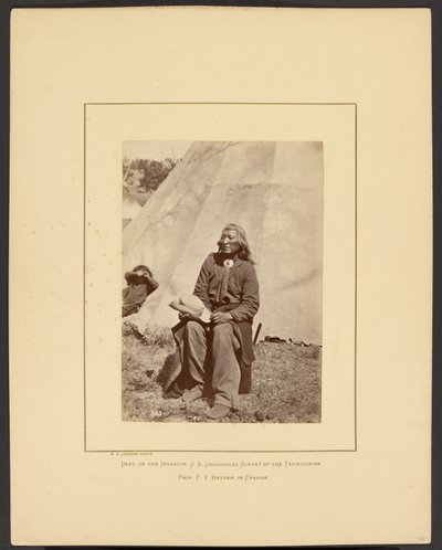 av William Henry Jackson