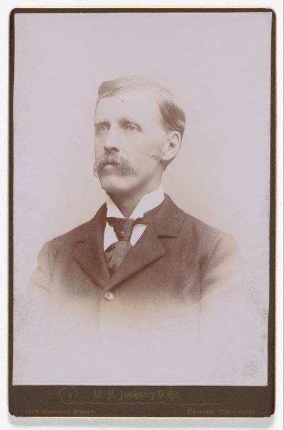  av William Henry Jackson