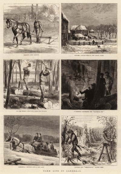 Gårdsliv i Canada, I av William Henry James Boot