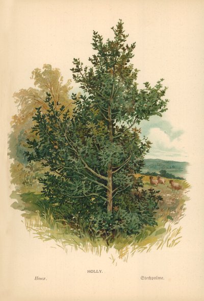 Holly av William Henry James Boot