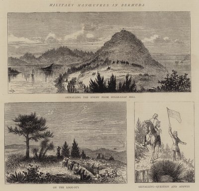 Militære manøvrer på Bermuda av William Henry James Boot