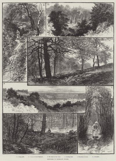 Skisser i Highgate Woods av William Henry James Boot