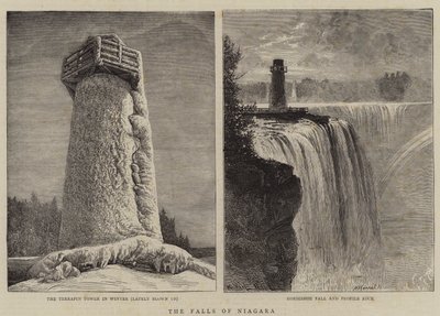 Fallene i Niagara av William Henry James Boot