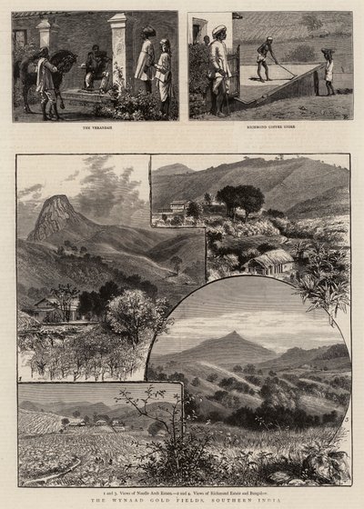 Wynaad Gold Fields, Sør-India av William Henry James Boot