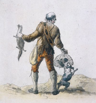 En rottefanger, Provincial Characters, 1804 av William Henry Pyne