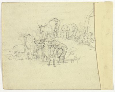 Storfe (recto); The Charlatan (verso) av William Henry Pyne