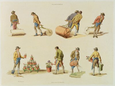 Gardeners, vol. 2, plate 97, fra 