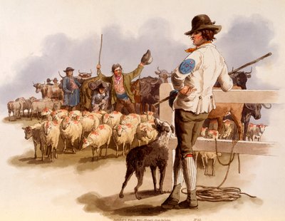 Smithfield Drover, fra 