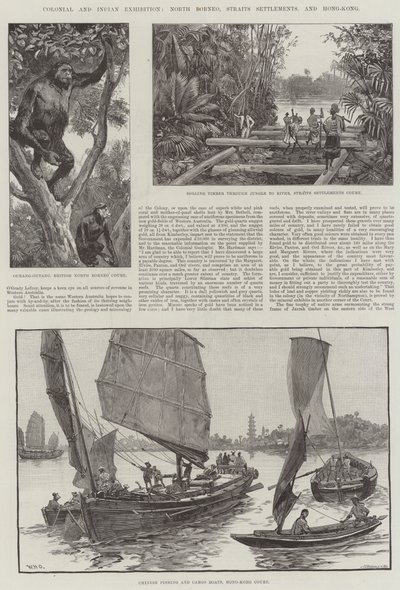 Colonial and Indian Exhibition, North Borneo, Straits Settlements og Hong-Kong av William Heysham Overend