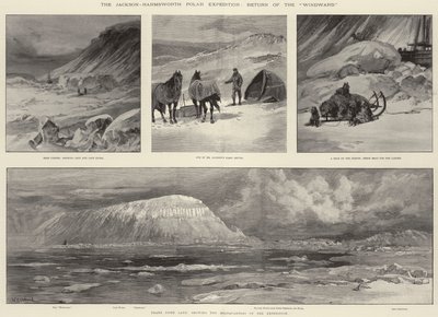 Jackson-Harmsworth Polar Expedition, Return of the Windward av William Heysham Overend