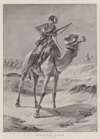 Den innfødte egyptiske hæren, kamelkorpset av William Heysham Overend