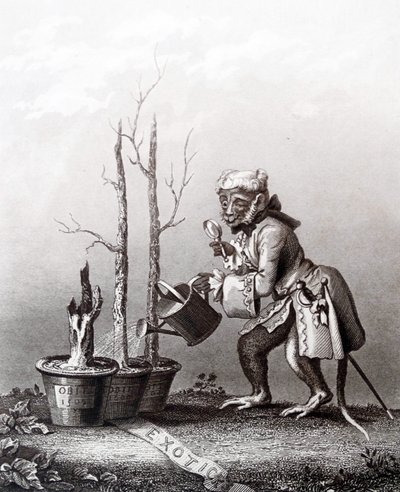 Halestykke til kunstnerens katalog av William Hogarth