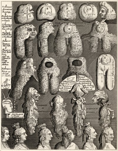 The Five Orders of Perriwigs, fra 