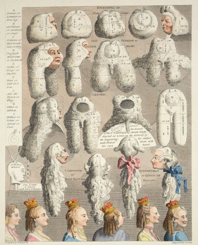 The Five Orders of Perriwigs, illustrasjon fra 