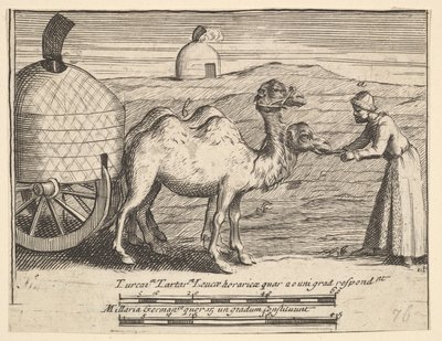 To Dromedarer Aubry de La Mottrayes reiser gjennom Europa, Asia og inn i del ..., 1723-24. av William Hogarth