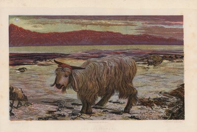  av William Holman (after) Hunt