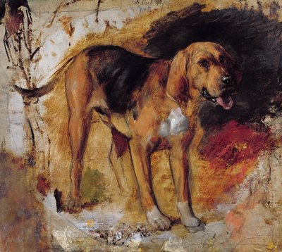 En studie av en blodhund av William Holman Hunt