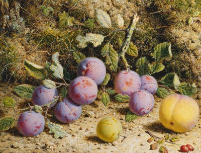 Stilleben med plommer, fersken og nyper, av William Hough