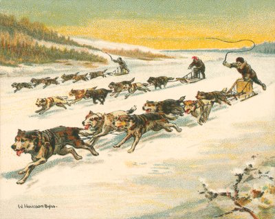 Racer historiske og moderne, kanadiske hundesledeløp (chromolitho) av William Hounsom Byles