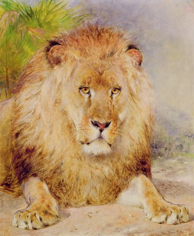 Løve av William Huggins