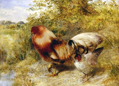 Fjærkre i et landskap av William Huggins