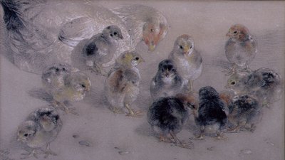 Studie av kyllinger av William Huggins