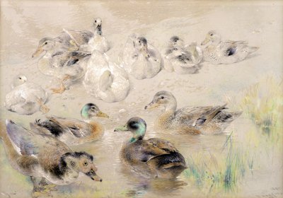 Studie av ender av William Huggins