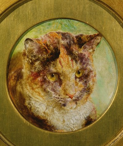 Studie av en skilpaddekatt av William Huggins