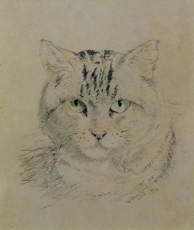 Tabby Cat, 1874 (blyant, fargestift og kull på papir) av William Huggins