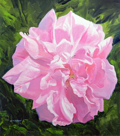 viktoriansk rose av William Ireland
