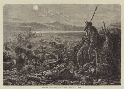 Hyrder som ser på flokkene sine om natten av William J. Webbe or Webb