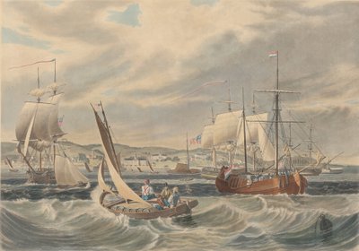 View of the New York Quarantine, Staten Island, publisert 1833. av William James Bennett