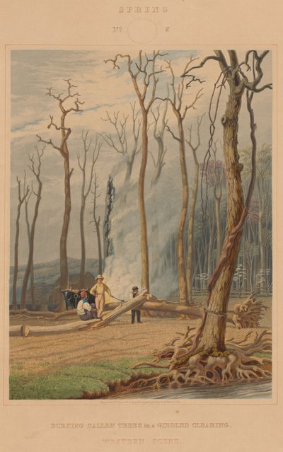Våren - brennende falne trær i en omgitt lysning. Vestlig scene av William James Bennett after George Harvey