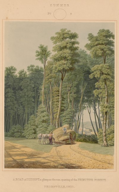 Sommer - en trafikkulykke. Et glimt gjennom en åpning av Primitive Forest. Thornville, Ohio av William James Bennett after George Harvey