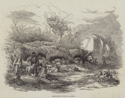 Landbruksbilder, lamming av William James Linton