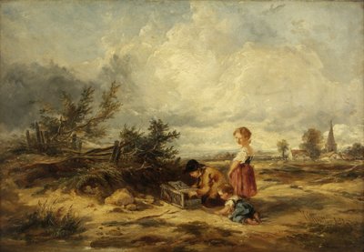 Hampstead Heath, fuglefellen av William James Muller