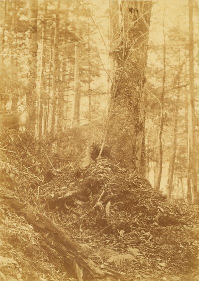  av William James Stillman