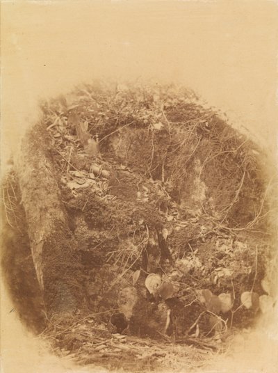  av William James Stillman