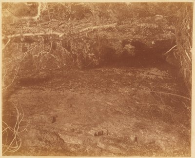 av William James Stillman