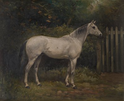 Pickles: en Basuto-ponni, ca. 1904 (olje på lerret) av William Josiah Redworth