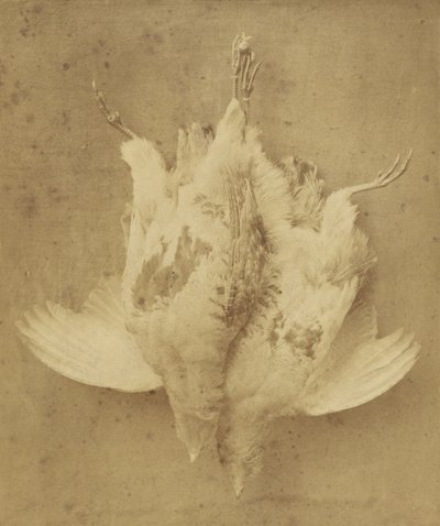  av William Lake Price