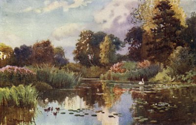 Innsjøen i botaniske hager av William Matthison