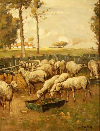 Sauefolden av William McBride