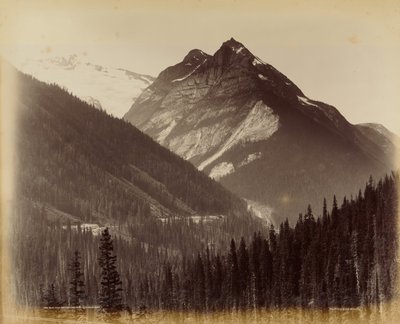  av William McFarlane Notman