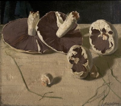 Sopp av William Nicholson