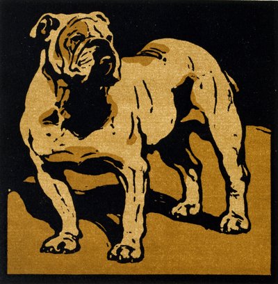 The British Bull-Dog, fra 