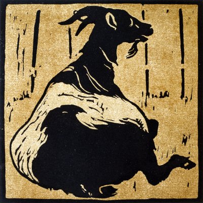 The Toilsome Goat, fra 