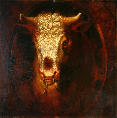 Oksehodet (olje på trepanel) av William Overend Geller