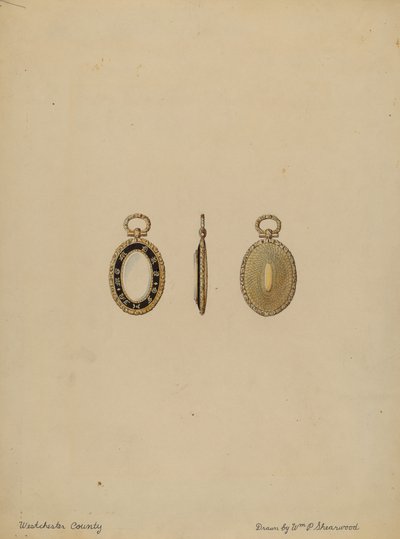 Brosje av William P. Shearwood