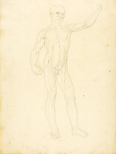 av William Page